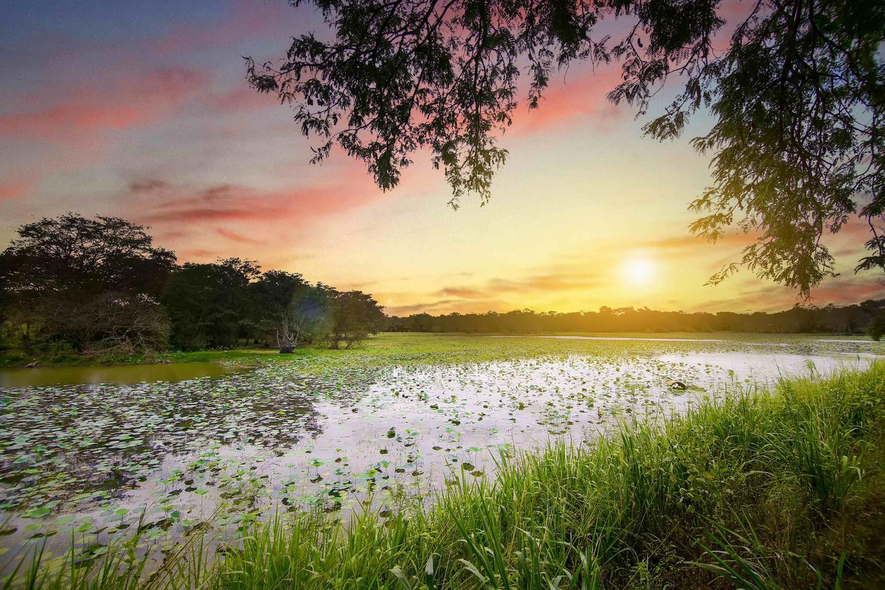 Elephas Resort & Spa Sigiriya Dış mekan fotoğraf